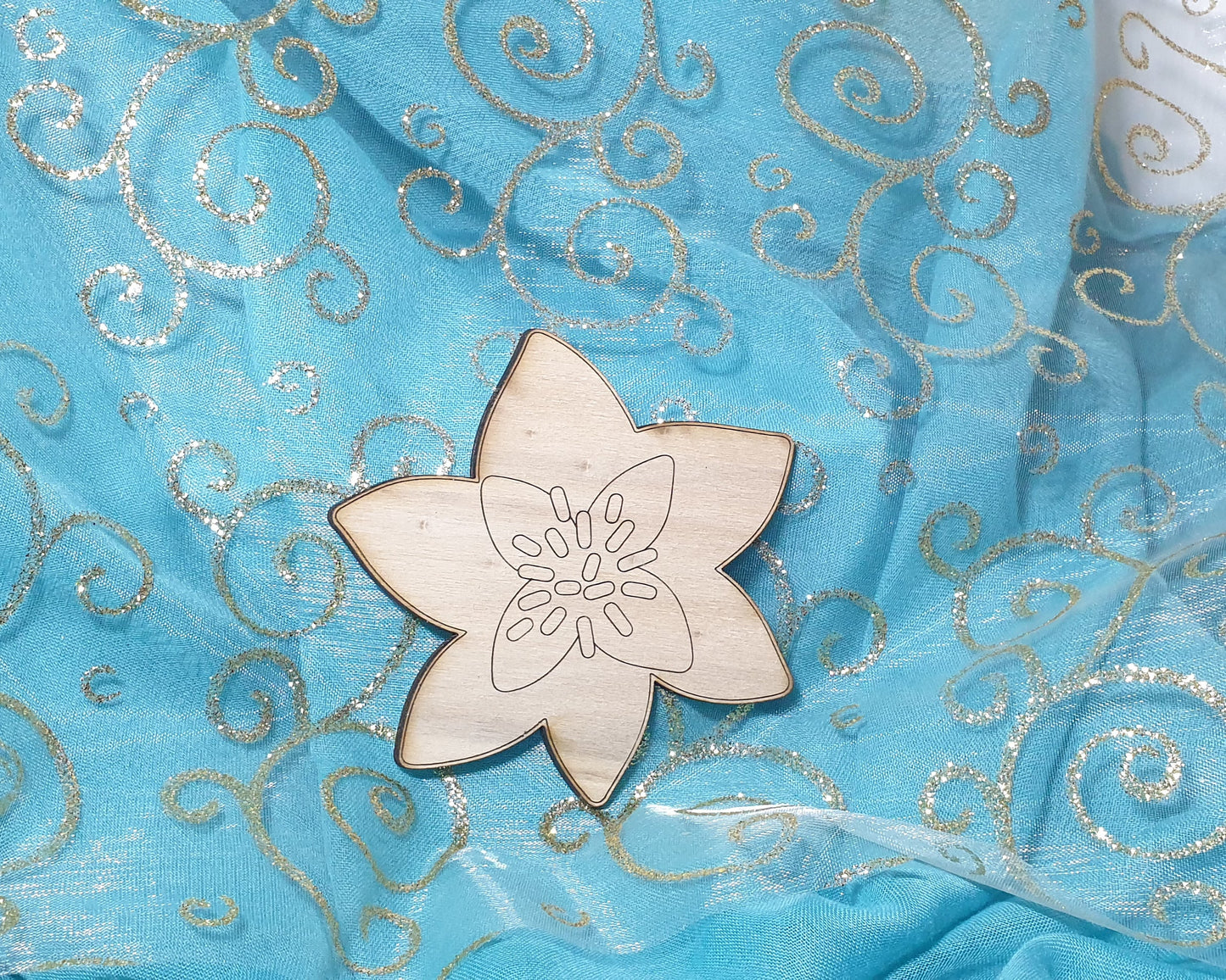 Fleur Nöel à peindre